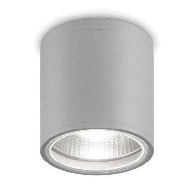 Gun IP44 Indoor / Outdoor Surface Mounted Downlight, Grey