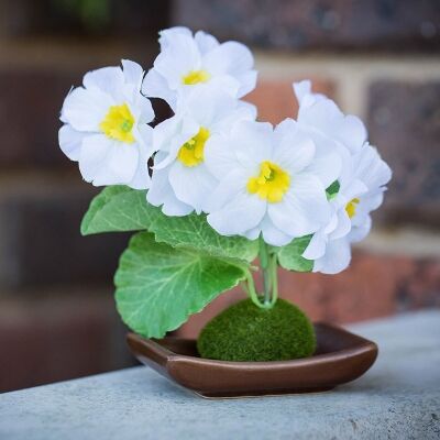 Set of 4 Artificial Table Poppy - White