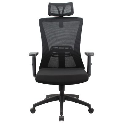 Hingis Mesh Fabric Ergonomic Office Chair, with Headrest