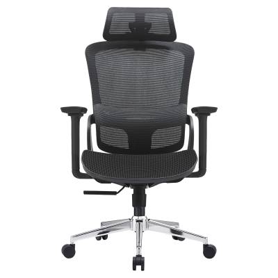 Elena Mesh Fabric High Back Ergonomic Office Chair, Mesh Seat, Black