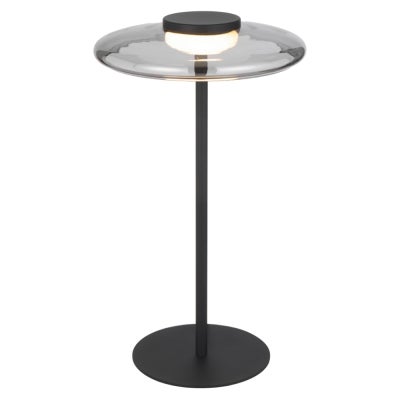 Amity Glass & Iron Dimmable LED Table Lamp, Black / Smoke
