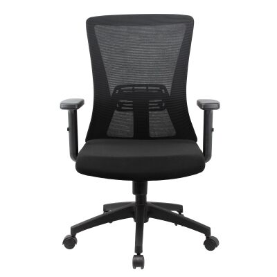 Hingis Mesh Fabric Ergonomic Office Chair, Black