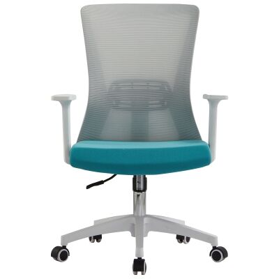 Hingis Mesh Fabric Ergonomic Office Chair, White / Aqua