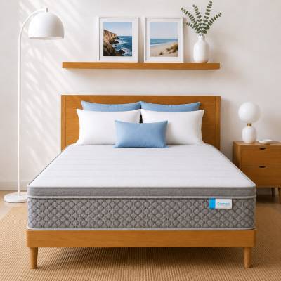 Coziness C001 Boxed Euro Top Pocket Spring Soft Mattress, Queen