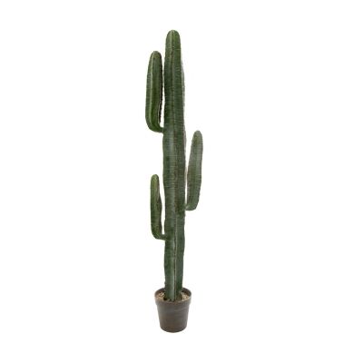 Arla Potted Artificial Cactus, 148cm
