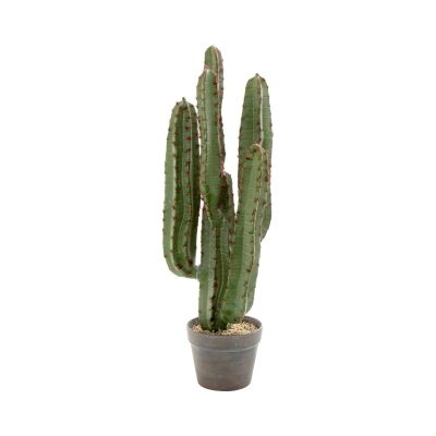 Arla Potted Artificial Cactus, 82cm