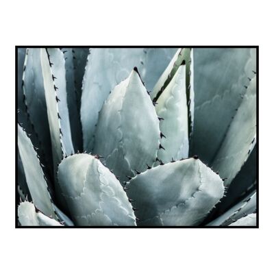 Aloe Close-up Framed Wall Art Print, 80cm