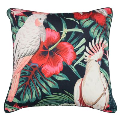 Bold Beak Velvet Scatter Cushion