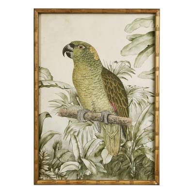 "Parrot in Jungle" Timber Framed Wall Art Print, Type B, 70cm