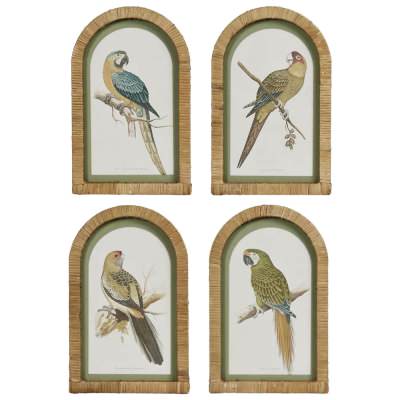 "Parrots in Arches" 4 Piece Rattan Framed Wall Art Print Set, 35cm