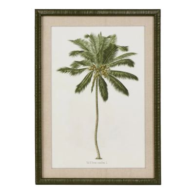 "Apia Palms" Rattan Framed Wall Art Print, Type A, 70cm
