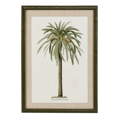 "Apia Palms" Rattan Framed Wall Art Print, Type C, 70cm