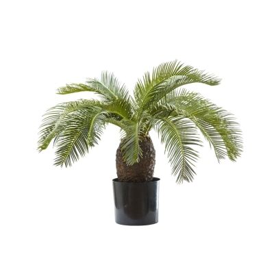 Artificial Cycus Palm, 65cm