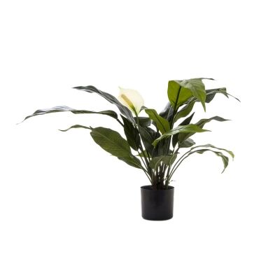 Artificial Spathiphyllum Lily, White Flower, 53cm