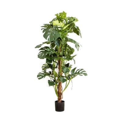 Artificial Split Leaf Philodendron, 150cm