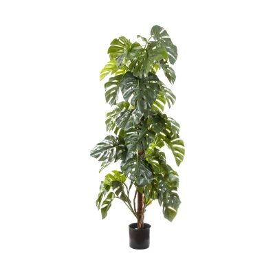 Artificial Split Leaf Philodendron, 180cm