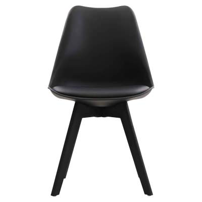 Jaden Dining Chair, Set of 2, Black / Black
