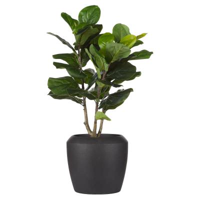 Rogue Artificial Giant Fiddle Leaf Fig Tree in Vienna Planter, 100cm