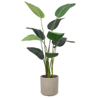 Rogue Artificial Giant Bird of Paradise in CylInder Planter, 145cm