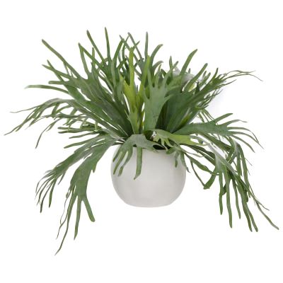 Rogue Artificial Staghorn Fern in Lyon Pot
