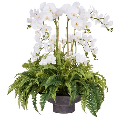 Rogue Artificial Phalaenopsis & Fern Mix in Nimes Footed Bowl