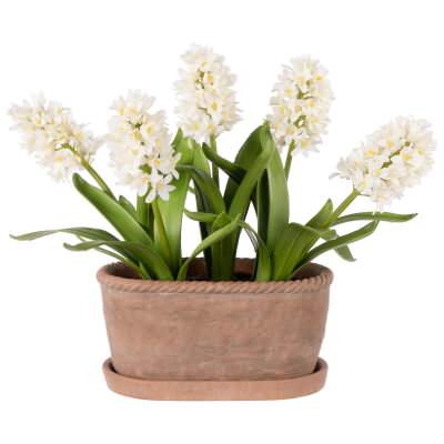 Rogue Artificial Hyacinth in Oval Chinon Pot