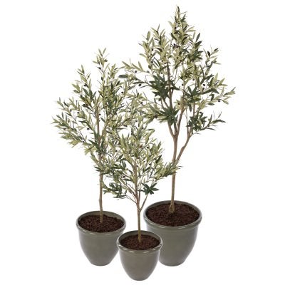 Rogue Artificial Olive Tree in Milan Pot, 3 Piece Set