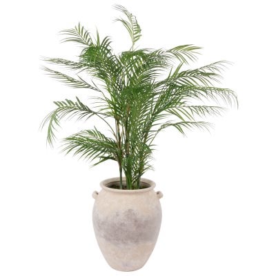 Rogue Artificial Phoenix Palm in Inga Vase, Large