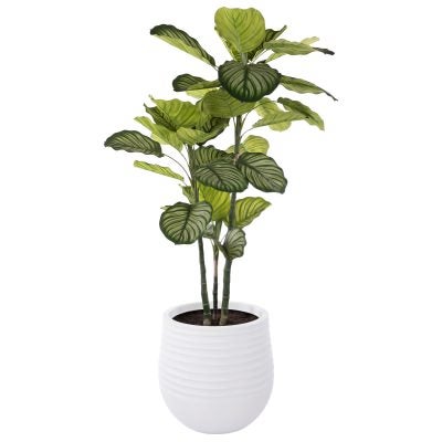 Rogue Artificial Calathea Plant in Ryker Planter, Large