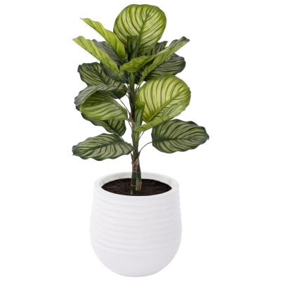Rogue Artificial Calathea Plant in Ryker Planter, Small