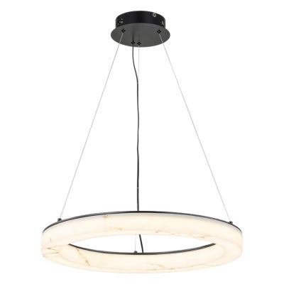 Halo Resin & Iron LED Ring Pendant Light, Medium