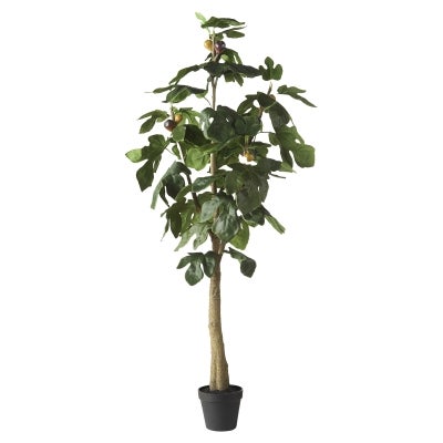Rogue Potted Artificial Fig Tree, 120cm