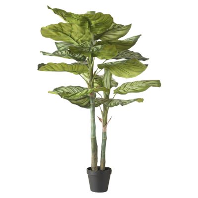 Rogue Potted Artificial Calathea Plant, 91cm