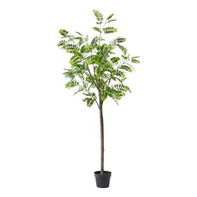 Forestia Potted Real Touch Artificial Japanese Pagoda Tree, 180cm