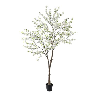 Forestia Potted Artificial Blossom Tree, 300cm, White Flower