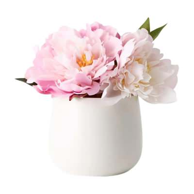 Ophelia Artificial Peony Mix in Ceramic Pot, 22cm, Pink Flower