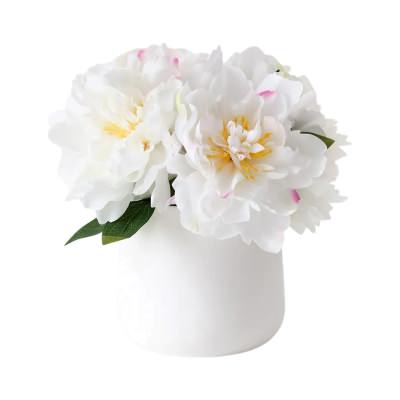 Ophelia Artificial Peony Mix in Ceramic Pot, 30cm, White Flower