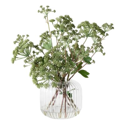 Vera Artificial Angelica Mix in Glass Vase, Green Flower