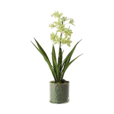 Giselle Artificial Orchid Cymbidium in Vase, 45cm, Light Green Flower