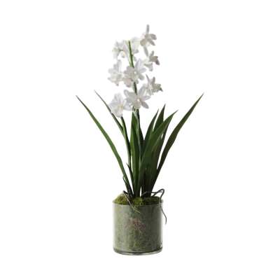 Giselle Artificial Orchid Cymbidium in Vase, 45cm, White Flower