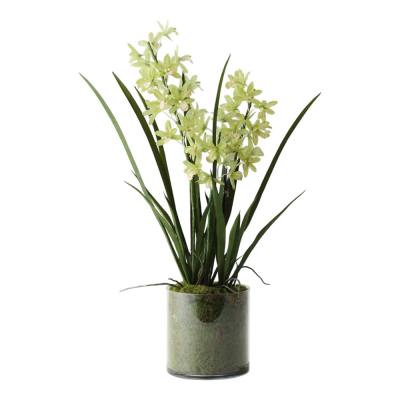 Giselle Artificial Orchid Cymbidium in Vase, 60cm, Light Green Flower