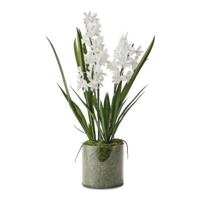 Giselle Artificial Orchid Cymbidium in Vase, 60cm, White Flower
