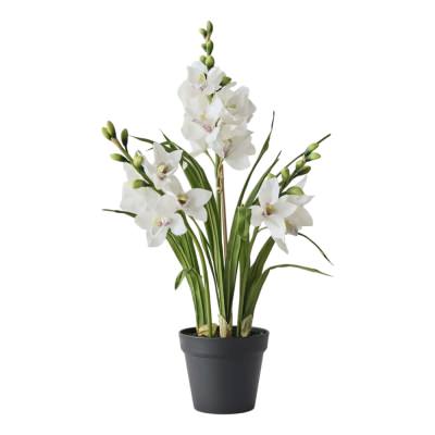 Forestia Potted Artificial Orchid Cymbidium Plant, 86cm, White Flower