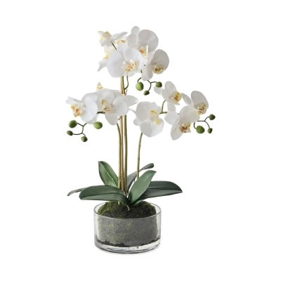 Moxie Artificial Orchid Phalaenopsis in Glass Bowl, 50cm