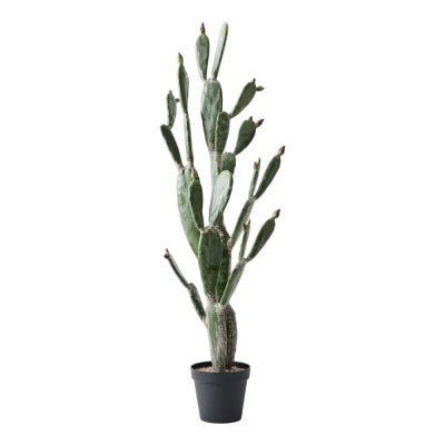 Forestia Potted Artificial Prickly Pear Cactus Plant, 145cm