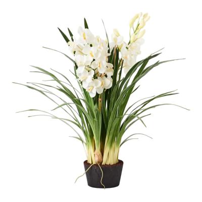 Forestia Artificial Orchid Cymbidium Plant, 120cm, Winter White Flower