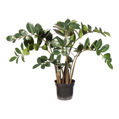 Forestia Potted Real Touch Artificial Zanzibar Gem Plant, 92cm