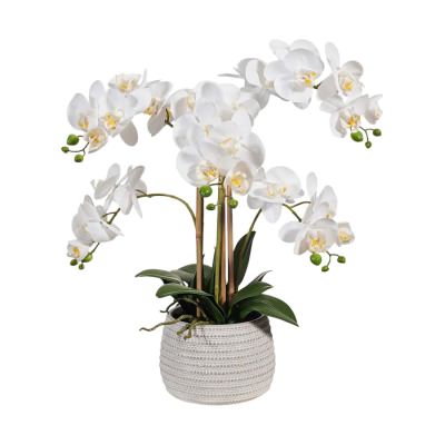 Misty Artificial Orchid Phalaenopsis in Clay Pot