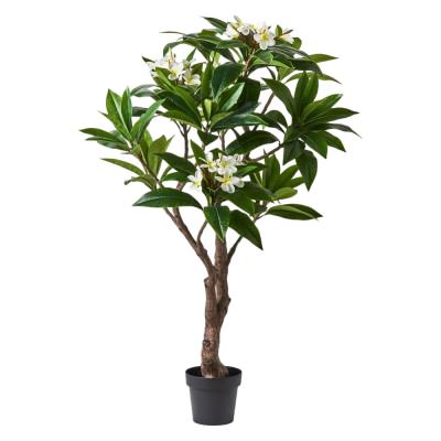 Forestia Potted Real Touch Artificial Frangipani Plant, 150cm