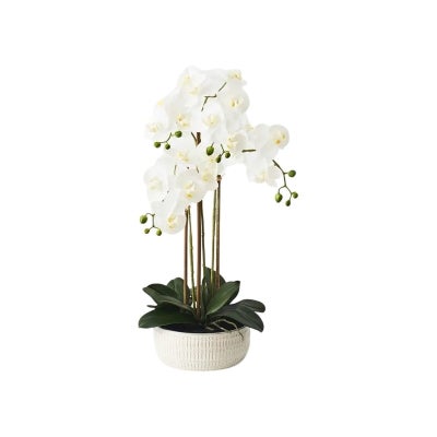 Trojan Artificial Orchid Phalaenopsis in Ceramic Bowl, 63cm